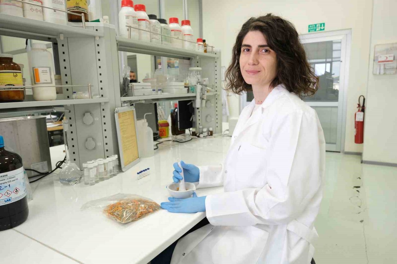 Çiğdemin şifa dolu sırları ortaya çıktı