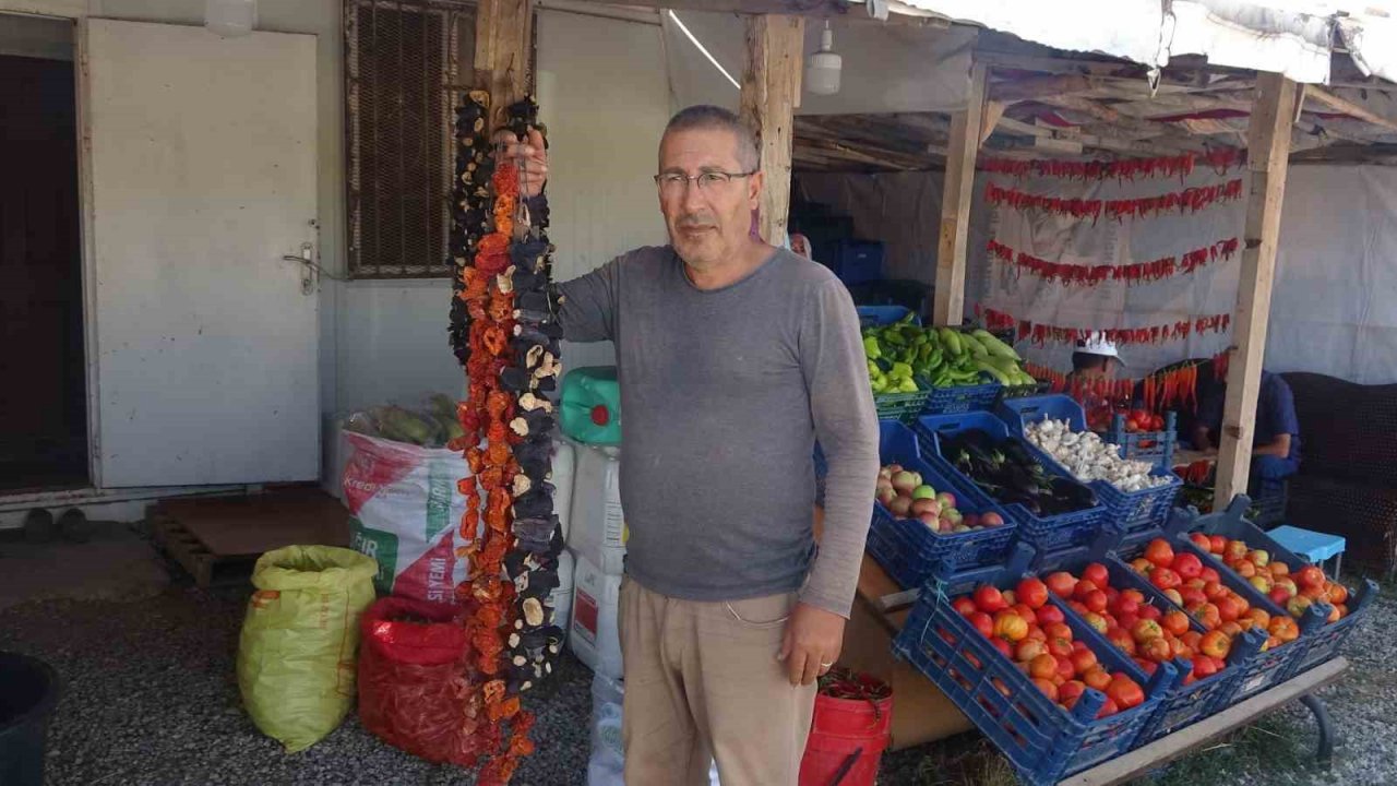 Muşlu çiftçiler ata tohumundan ürettikleri 50 ton sebzeyi hem kurutup hem de taze olarak satıyor