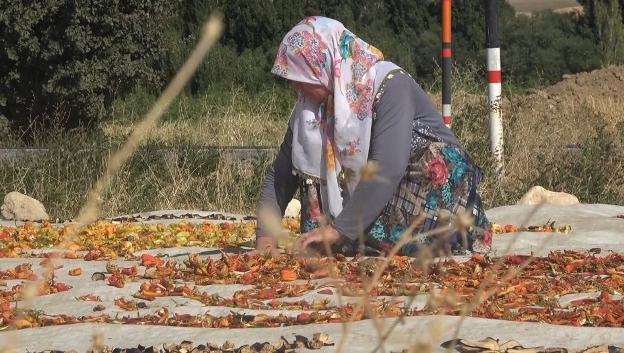 Muşlu çiftçiler ata tohumundan ürettikleri 50 ton sebzeyi hem kurutup hem de taze olarak satıyor