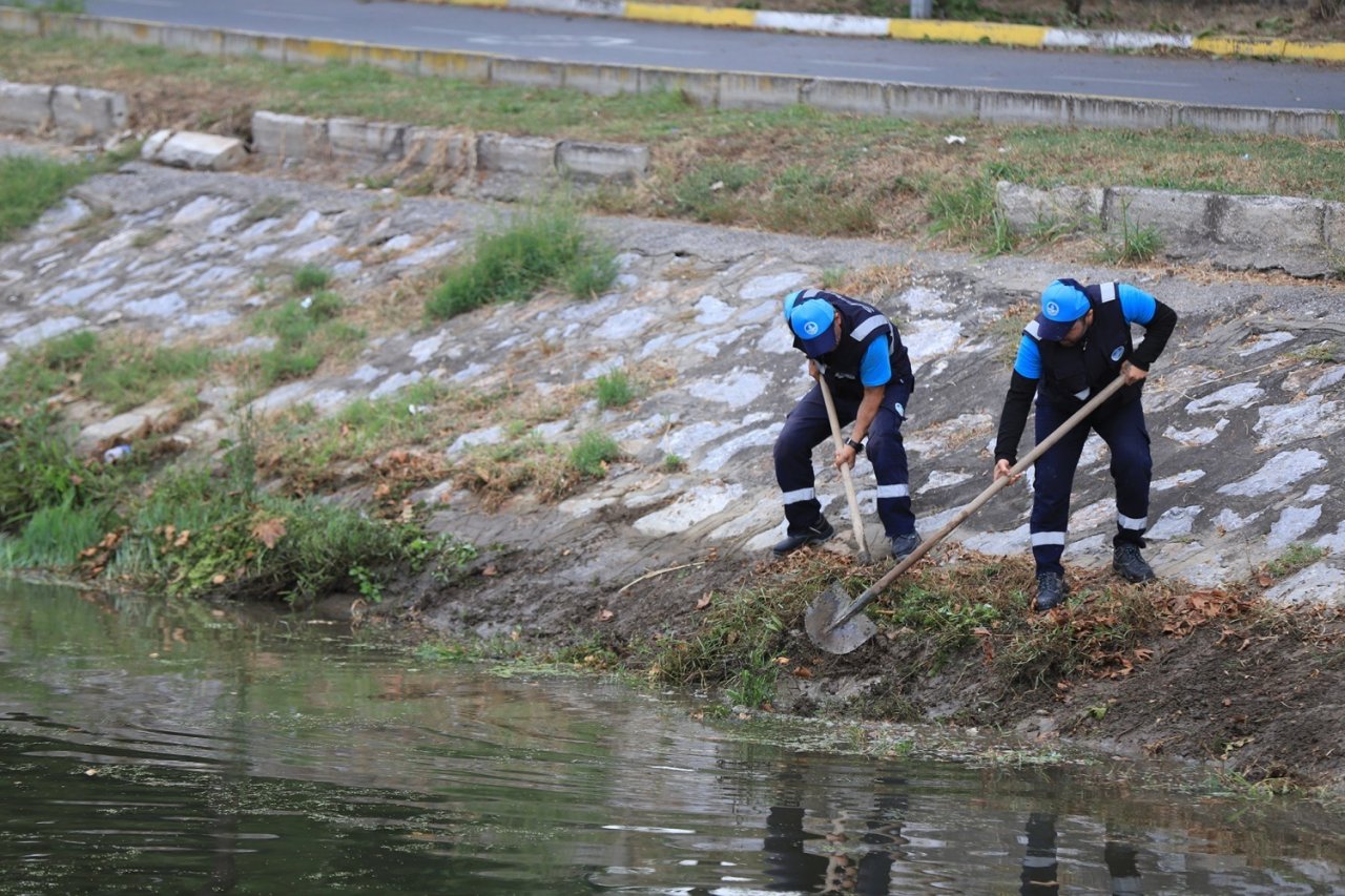 Çark Deresi ve çevresi temizlendi