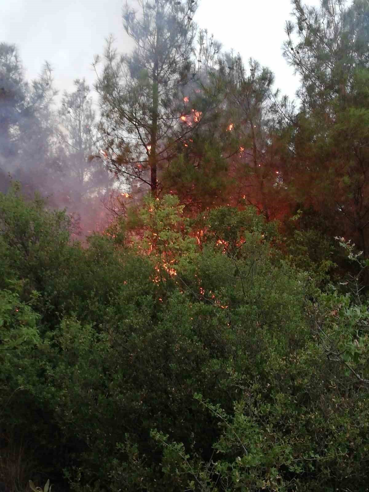 Tokat’taki orman yangını ekipleri harekete geçirdi