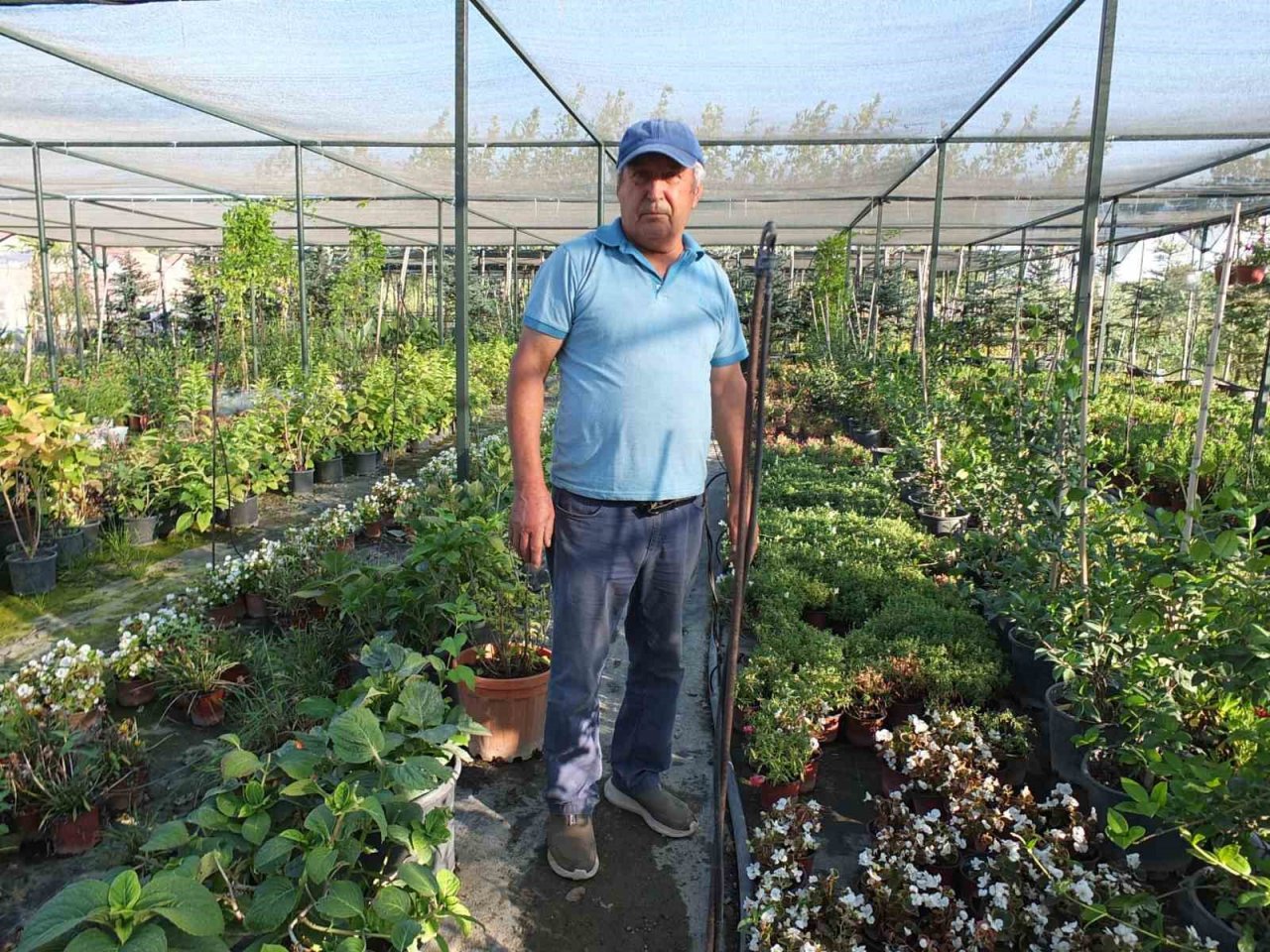 Emekli bankacı 500 çeşit bitki yetiştirdi
