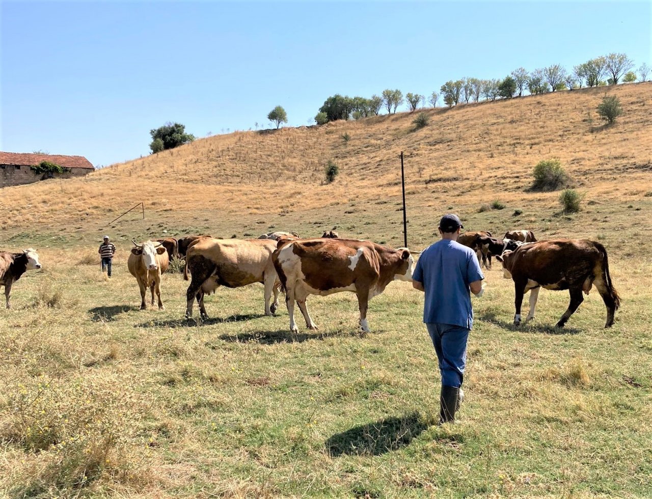 Aşılama kampanyası ilçelerde devam ediyor