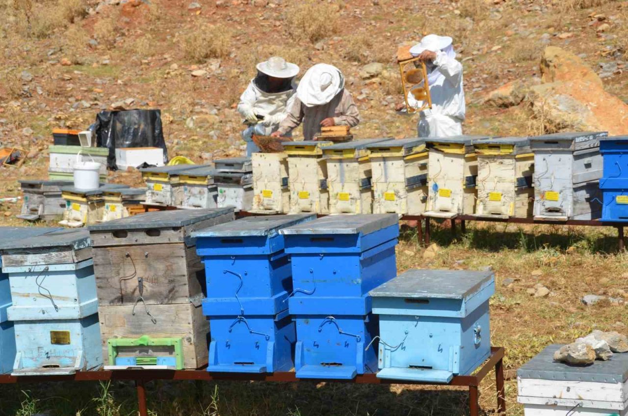Antalya’da bal rekoltesi düştü, kilogramı 800 liraya kadar çıktı