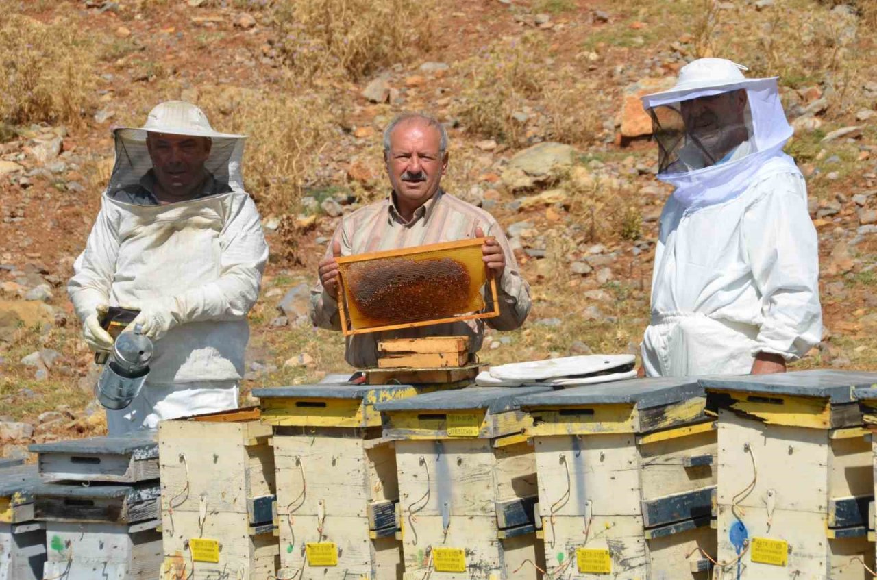 Antalya’da bal rekoltesi düştü, kilogramı 800 liraya kadar çıktı