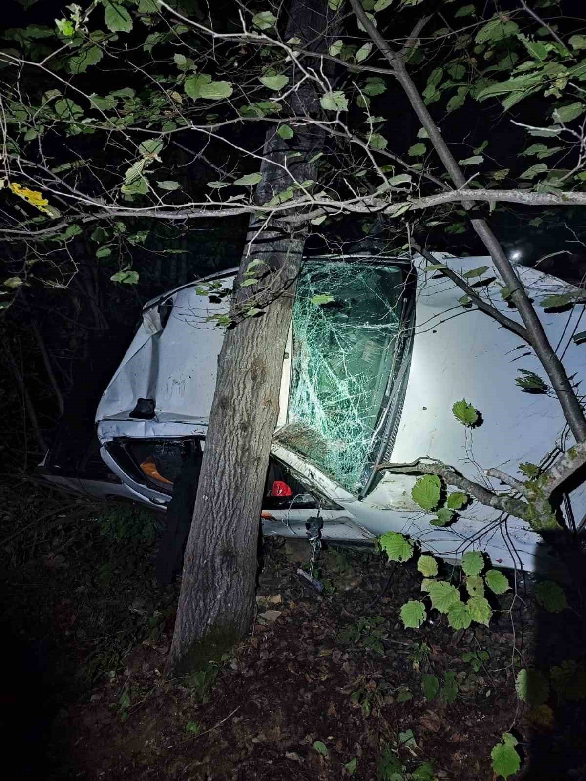 Artvin’de trafik kazası: 1 ölü, 2 yaralı