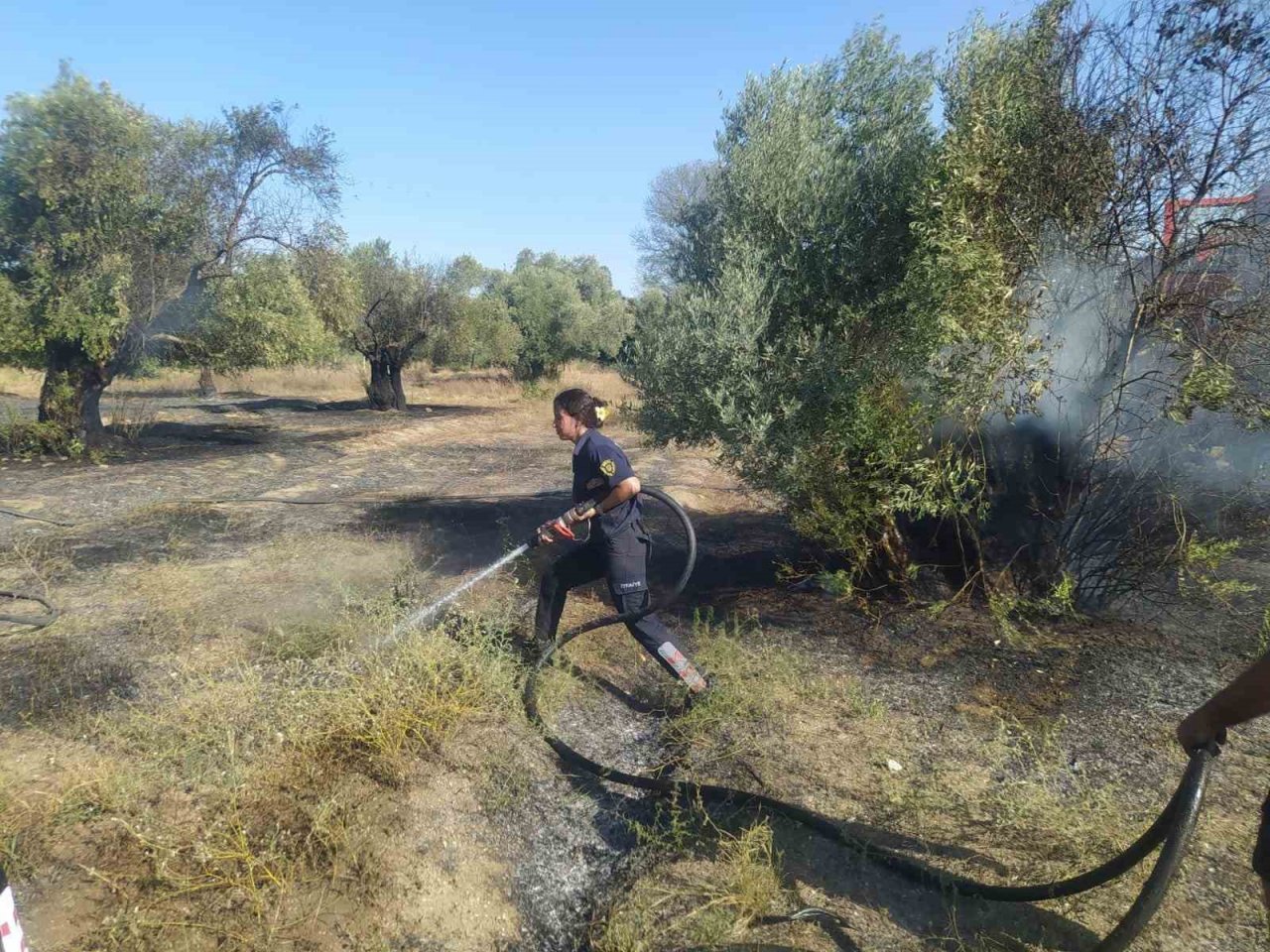 Aydın Büyükşehir İtfaiyesi’nden Umurlu’daki yangına hızlı müdahale