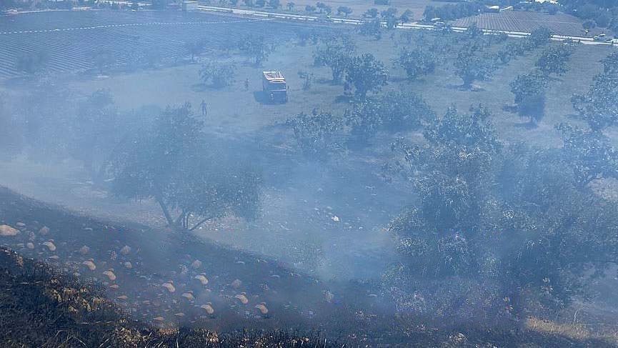 Köşk’teki yangında 1 dönüm arazi zarar gördü