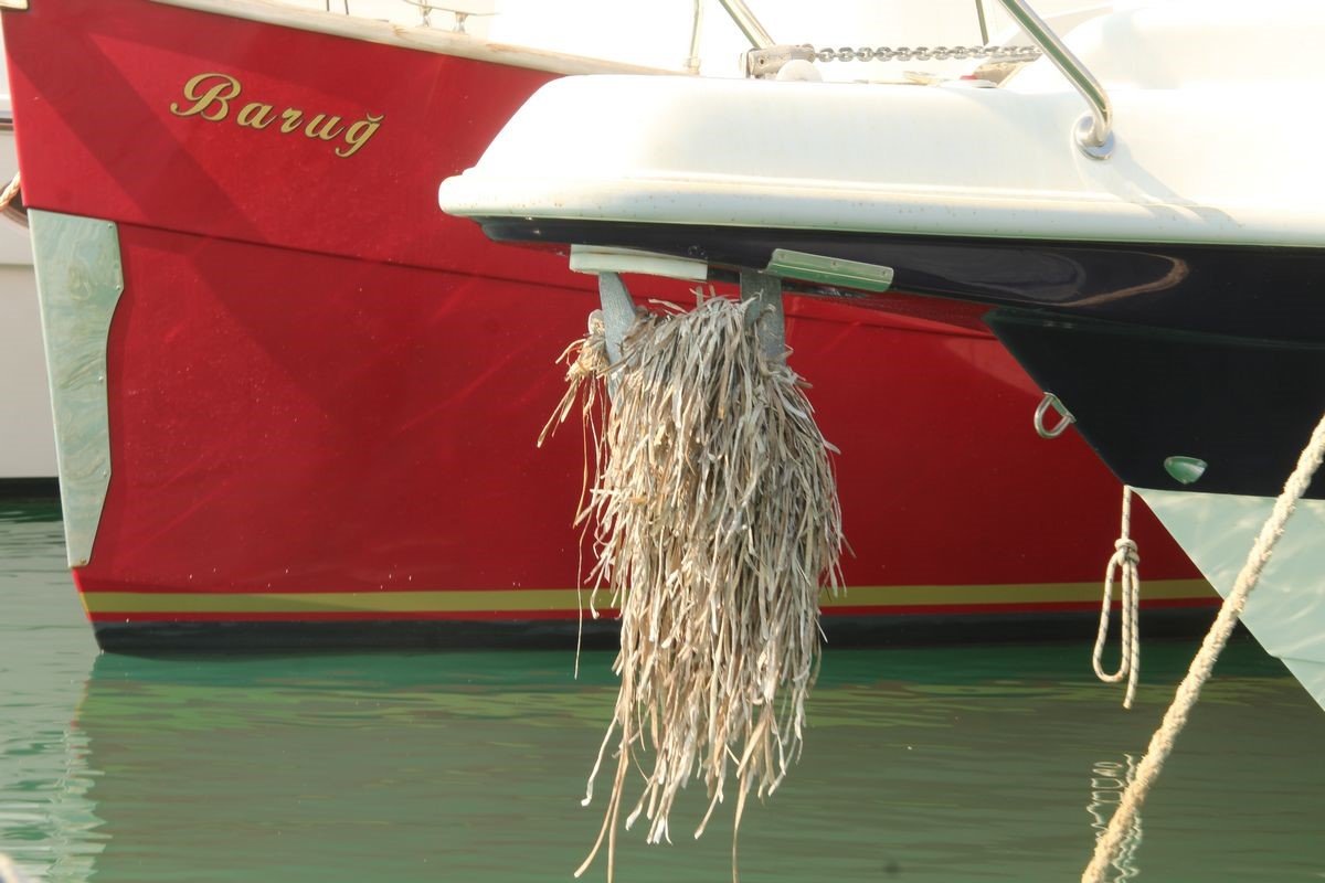 Aydın’da deniz çayırlarına dikkat çekildi