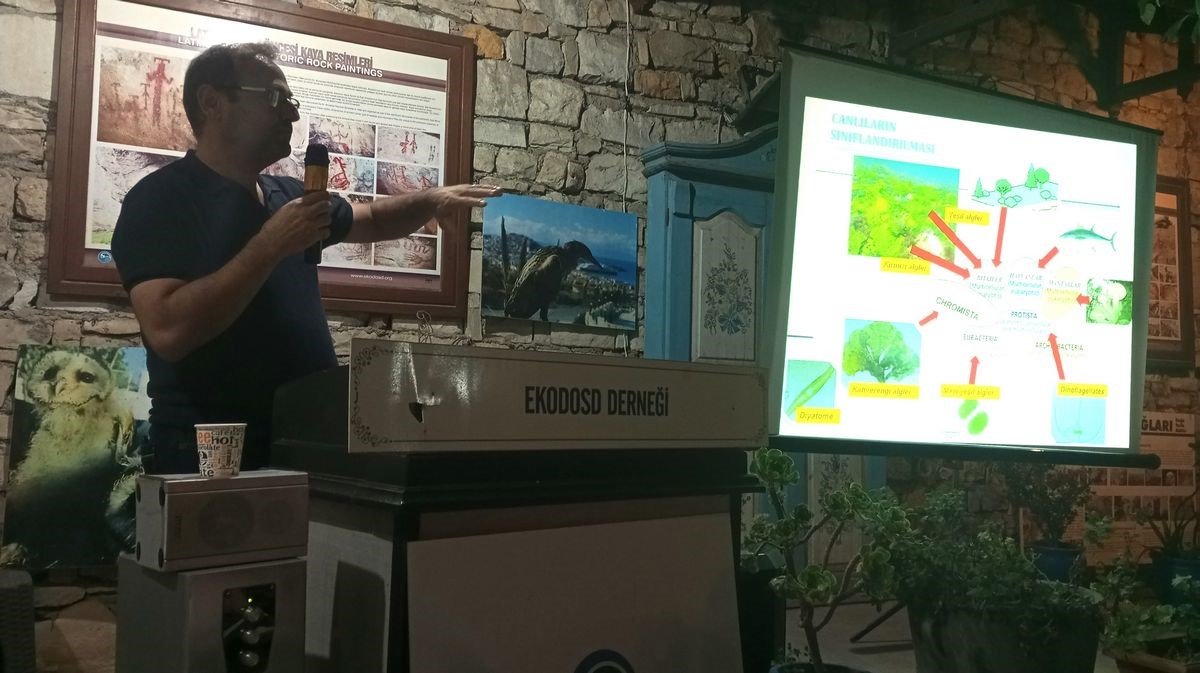 Aydın’da deniz çayırlarına dikkat çekildi