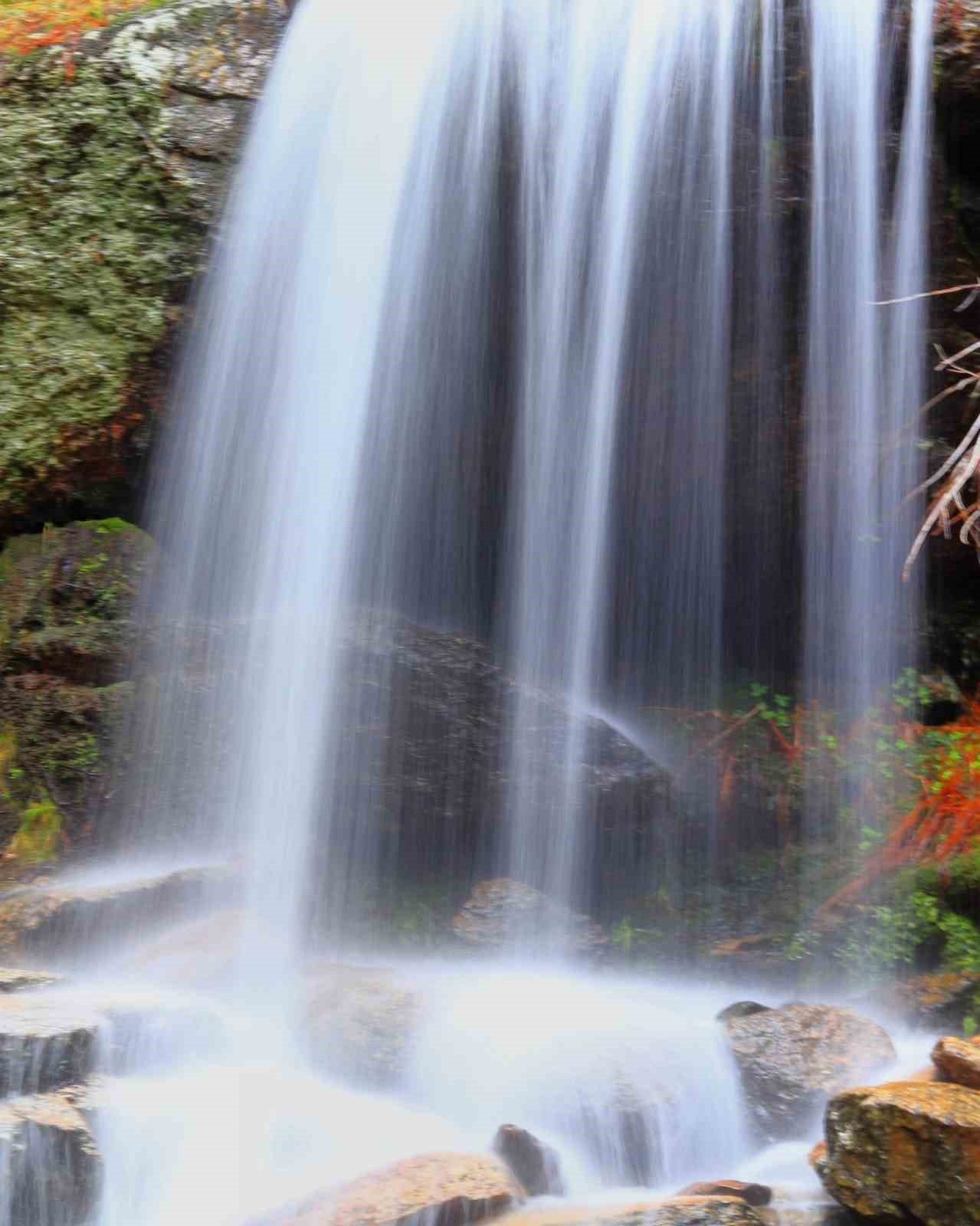 Kimi sesine kimi de görüntüsüne hayran kalıyor