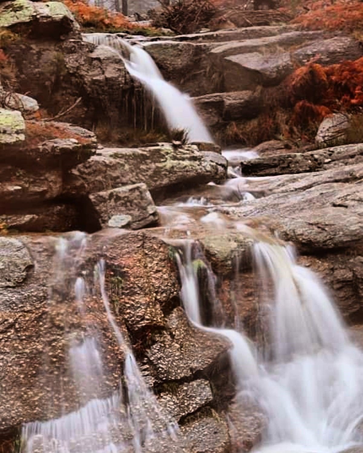 Kimi sesine kimi de görüntüsüne hayran kalıyor
