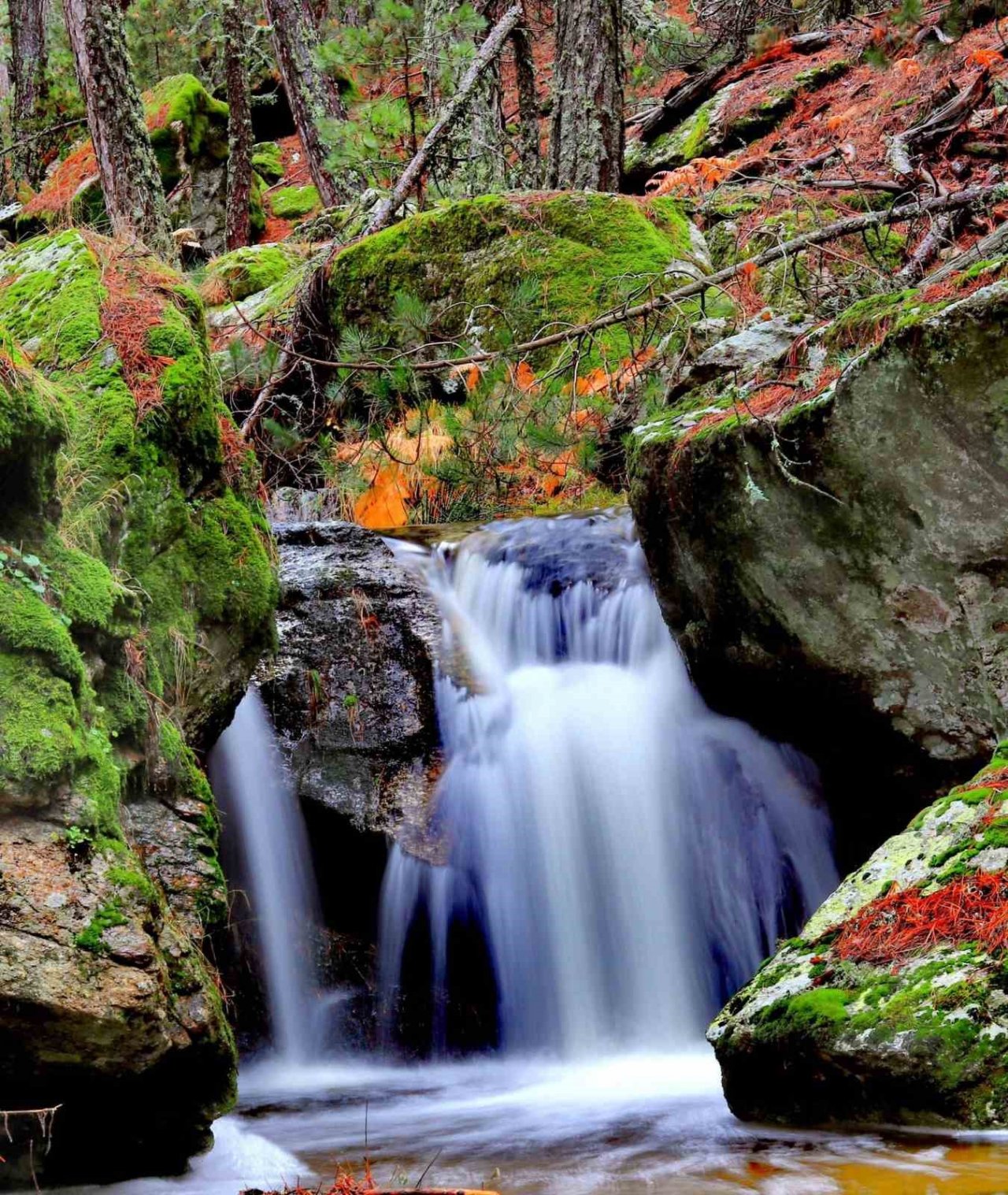 Kimi sesine kimi de görüntüsüne hayran kalıyor