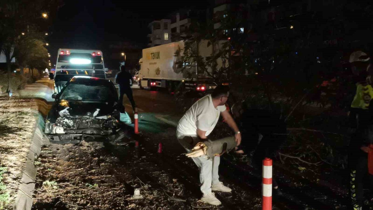 Aracıyla çarptığı orta refüjdeki ağacı gövdesinden kırdı: 1 yaralı