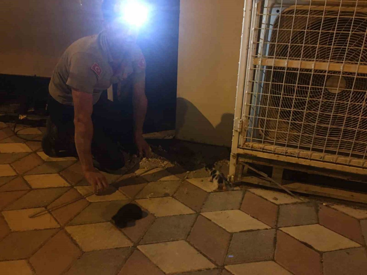 Burdur’da binanın dış cephe kaplamasının içine sıkışan kediler itfaiye tarafından kurtarıldı