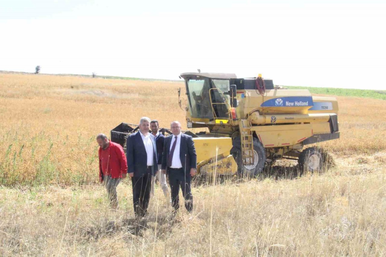 Başkan Altun ve Kaymakam Gülen’den ihtiyaç sahipleri için Aspir hasadı