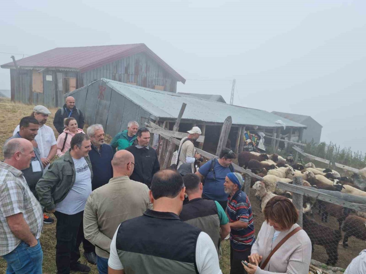 Uluslararası çalıştay dağlık arazi incelemesi ile sona erdi