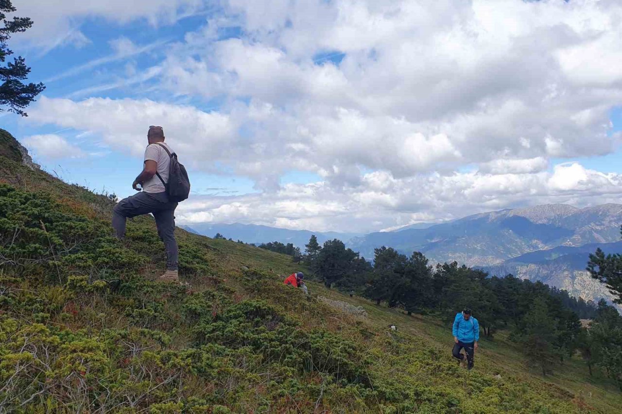 Hem yürüyüş yaptılar, hem likarpa topladılar