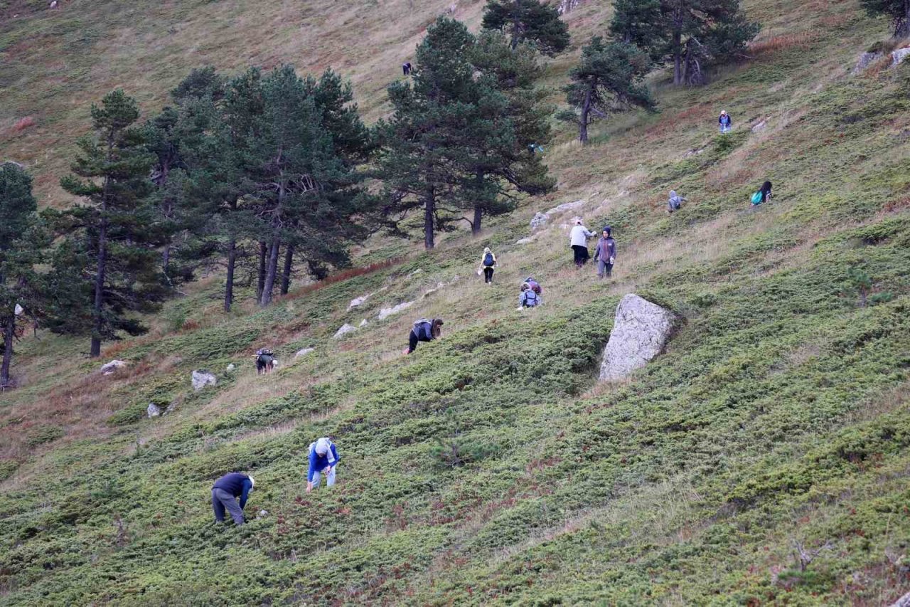 Hem yürüyüş yaptılar, hem likarpa topladılar