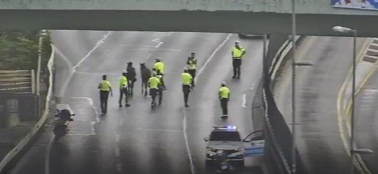 D-100 Karayolu’nda koşan başı boş atlar trafiği birbirine kattı