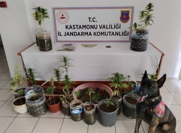 Uyuşturucuyu otobüste oturduğu koltuğun altına saklayan şahıs jandarmadan kaçamadı