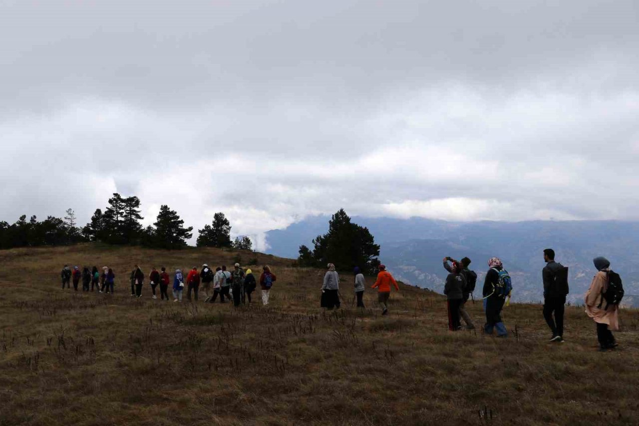 Hem yürüyüş yaptılar, hem likarpa topladılar