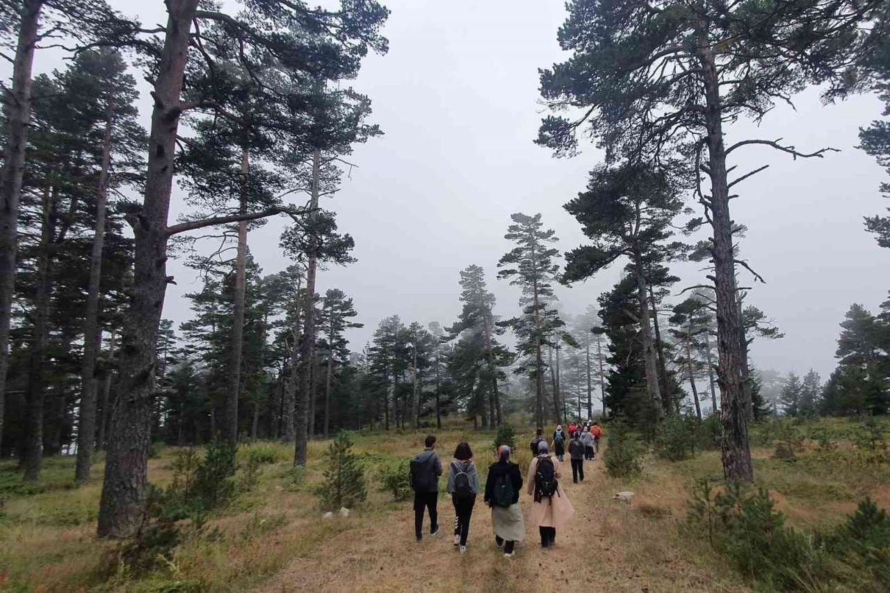 Hem yürüyüş yaptılar, hem likarpa topladılar