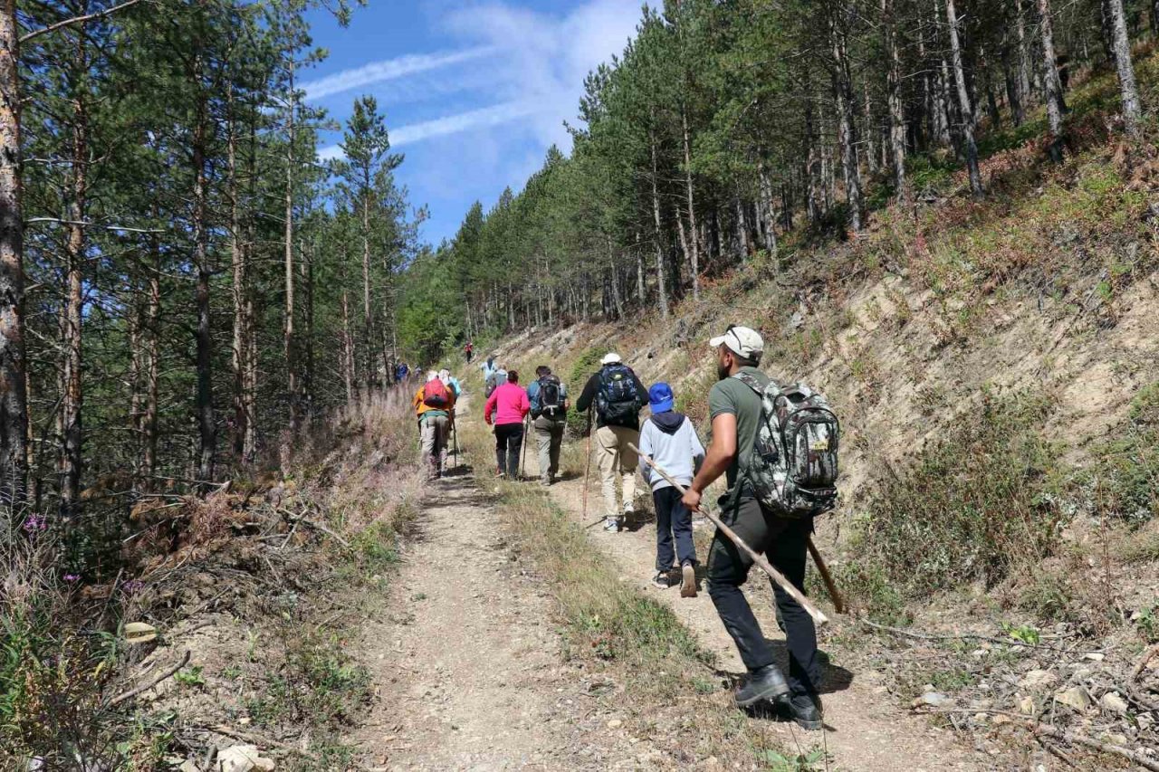 Hem yürüyüş yaptılar, hem likarpa topladılar