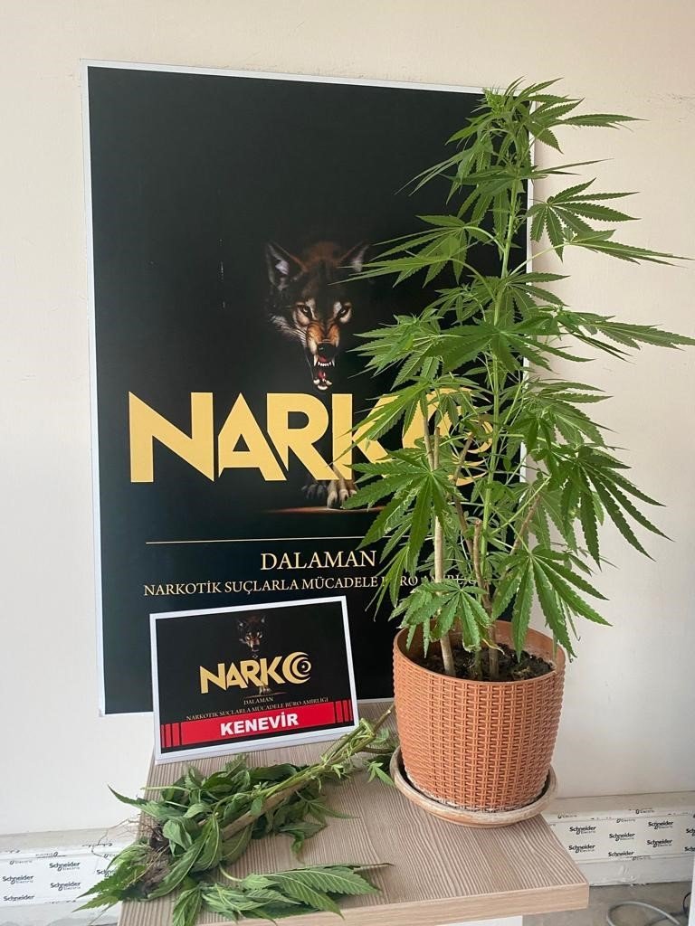 Muğla’daki narkotik operasyonlarında 13 şüpheli tutuklandı