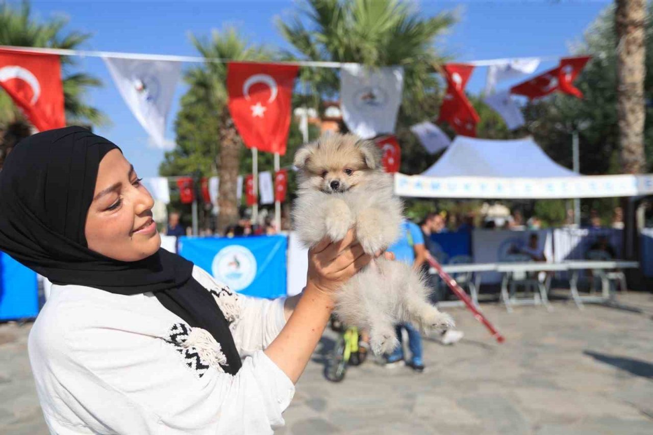 En güzel patiler Pamukkale’de görücüye çıktı