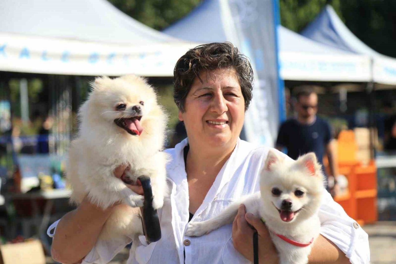 En güzel patiler Pamukkale’de görücüye çıktı