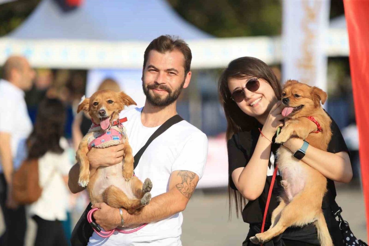 En güzel patiler Pamukkale’de görücüye çıktı