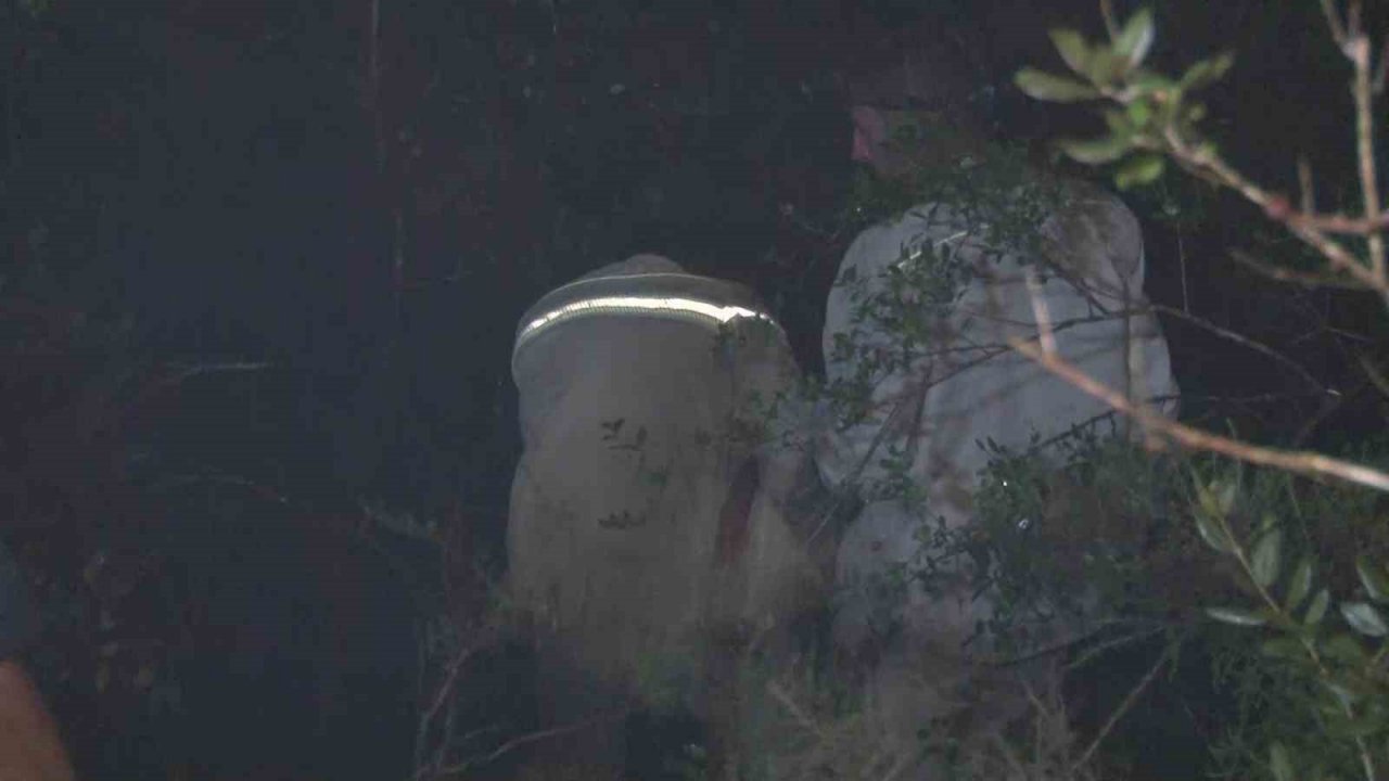 Pendik’te ormanlık alanda çıkan yangın kontrol altına alındı