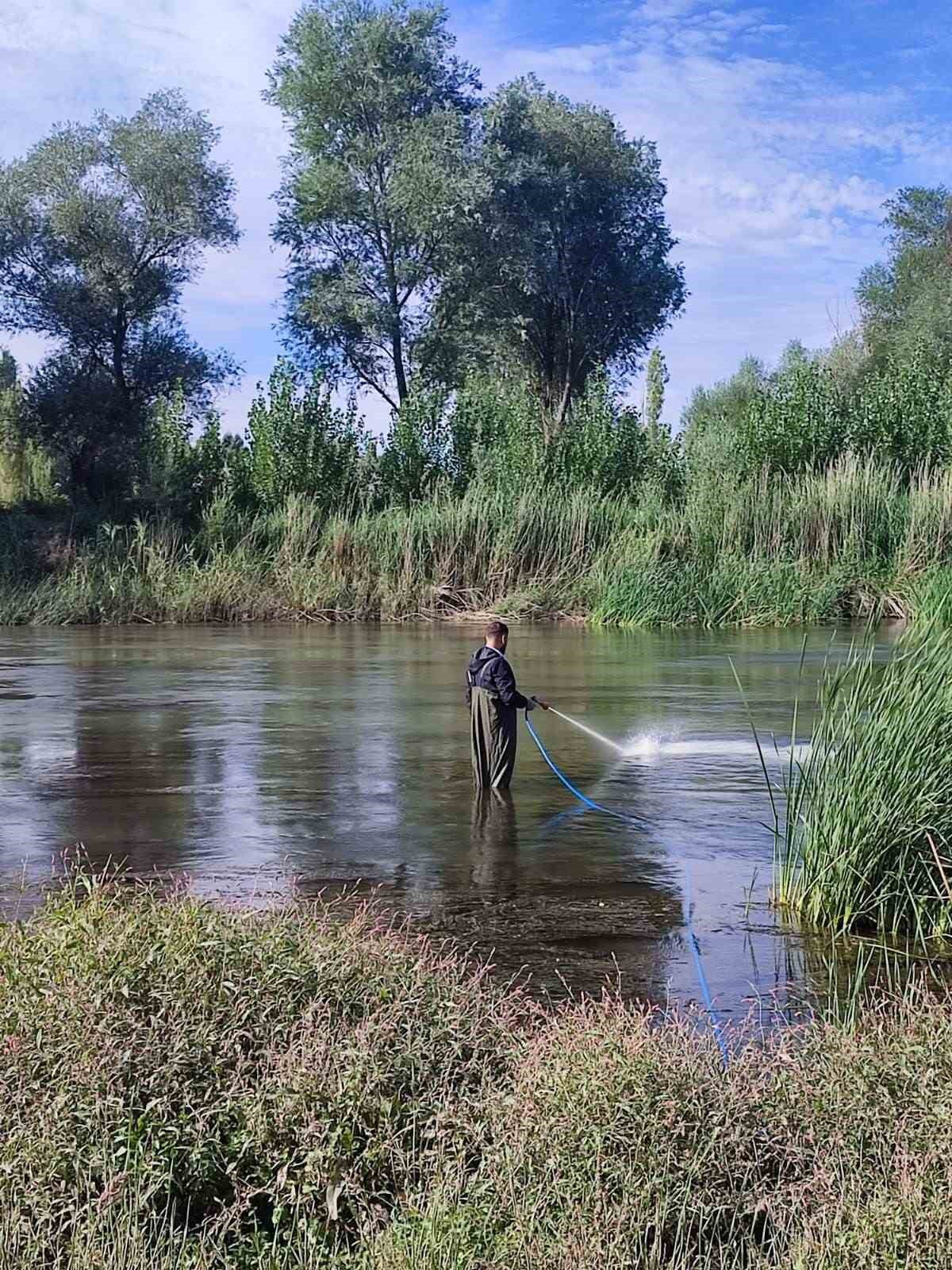 Kızılırmak’ta üvez sineği ile etkin mücadele devam ediyor