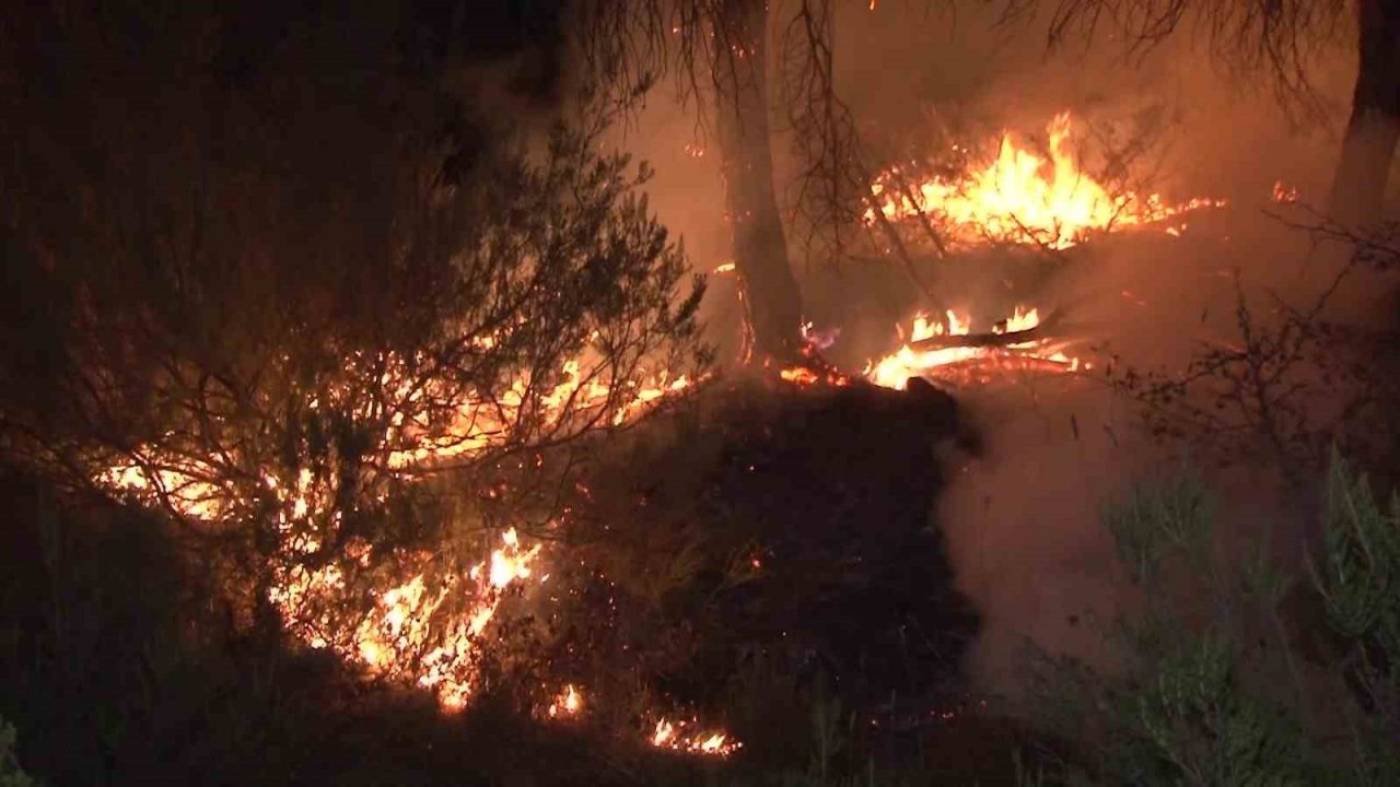 Çekmeköy’de ormanlık alanda çıkan yangın kontrol altına alındı