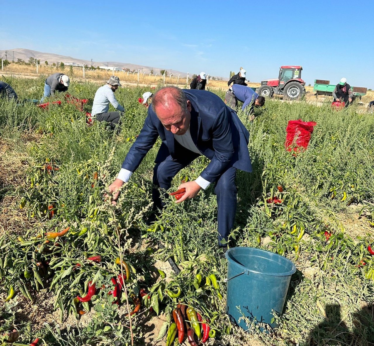 Ereğli Belediyesi salçalık biber dağıttı