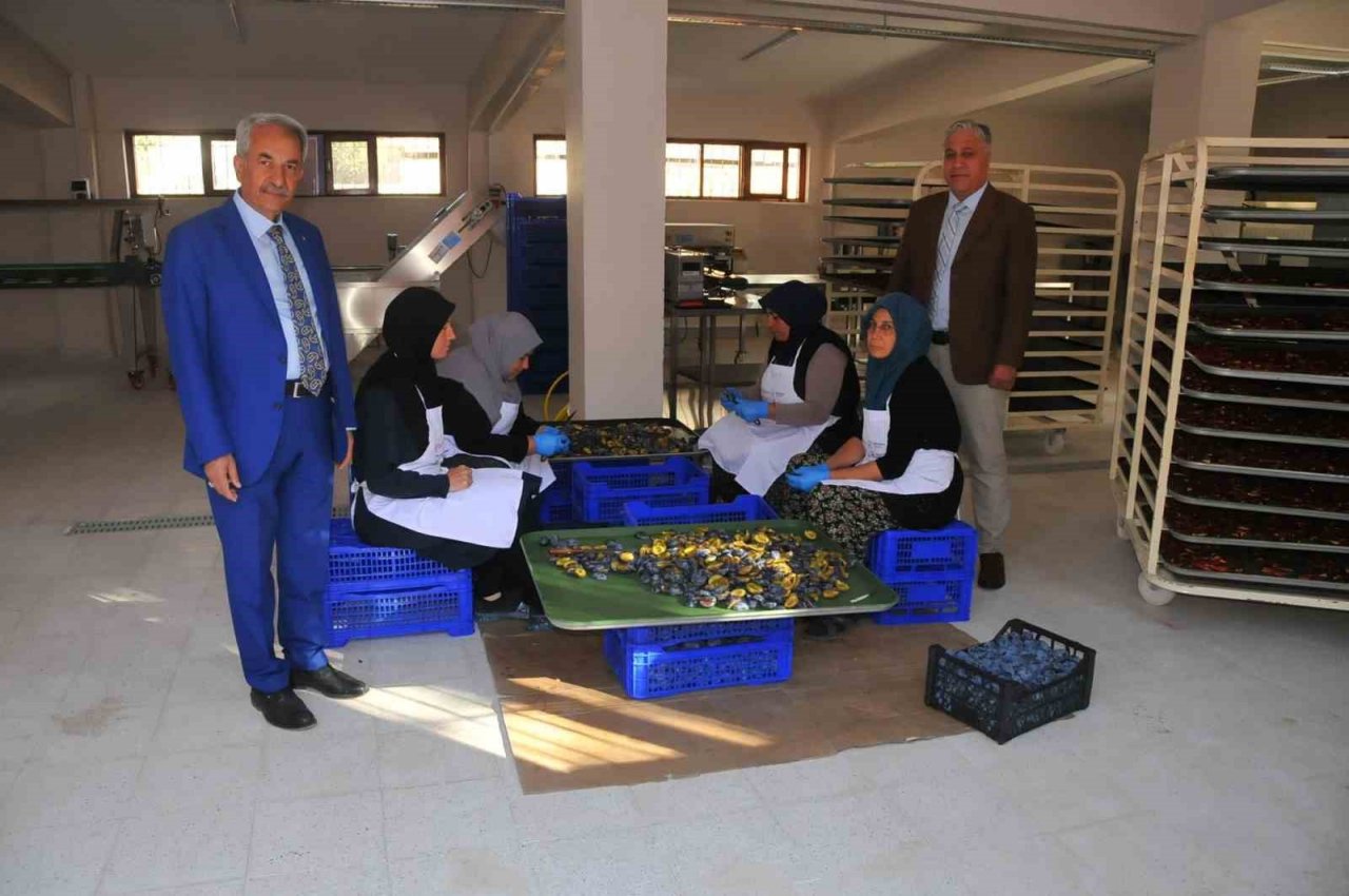 Akşehir Belediyesi meyve kurutma tesisinde ürün çeşitliliği artıyor
