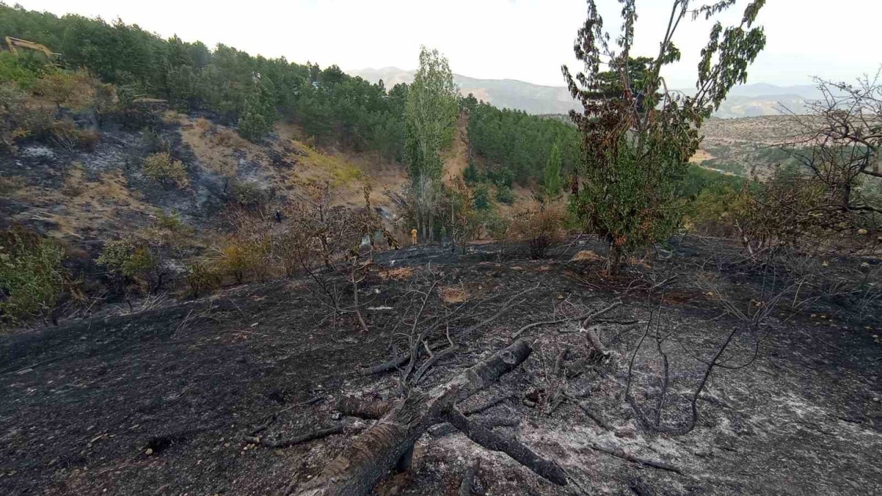 Konya’da orman yangını söndürüldü