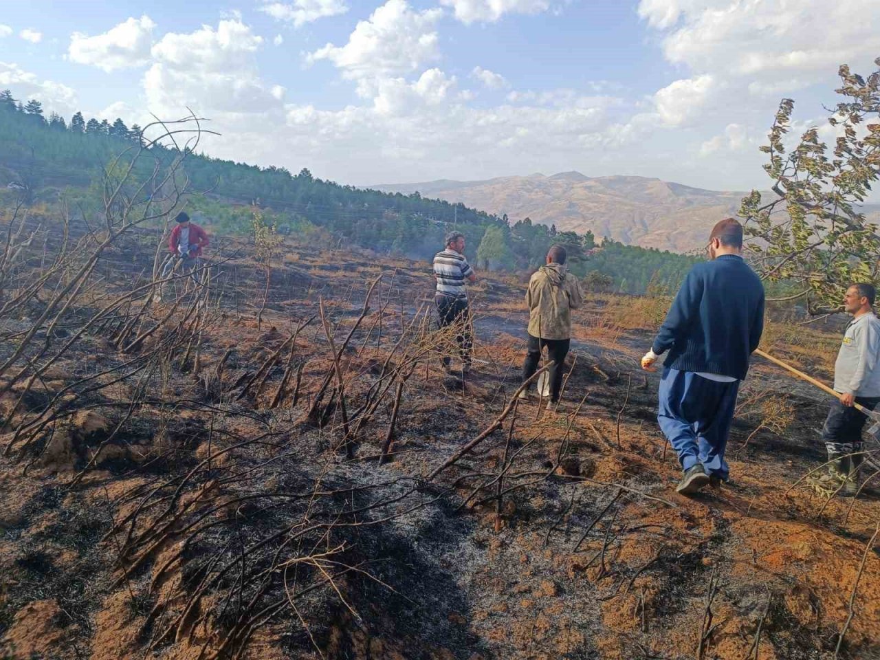 Konya’da orman yangını