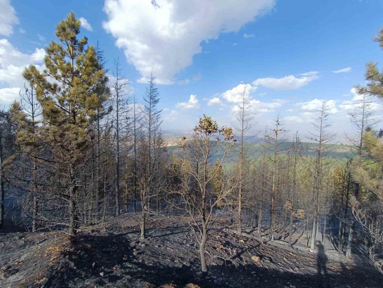 Konya’da orman yangını