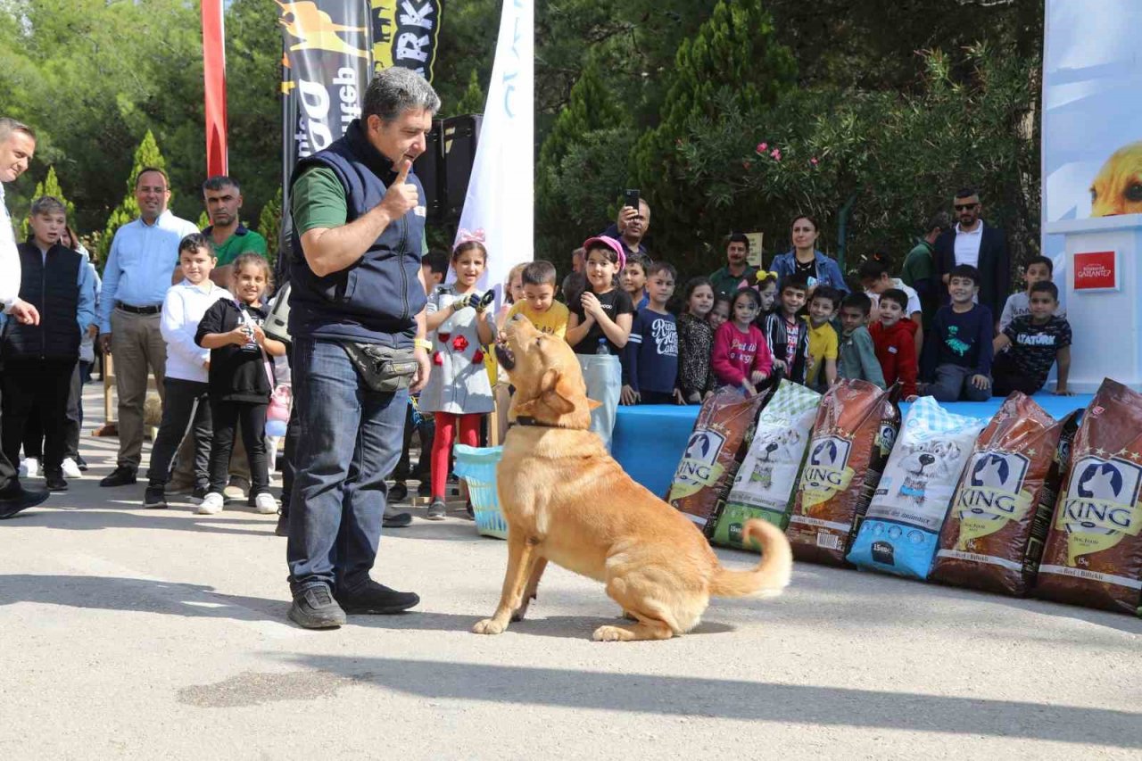 Gaziantep Büyükşehir, Dünya Hayvanları Koruma Günü’nde farkındalığa dikkat çekti