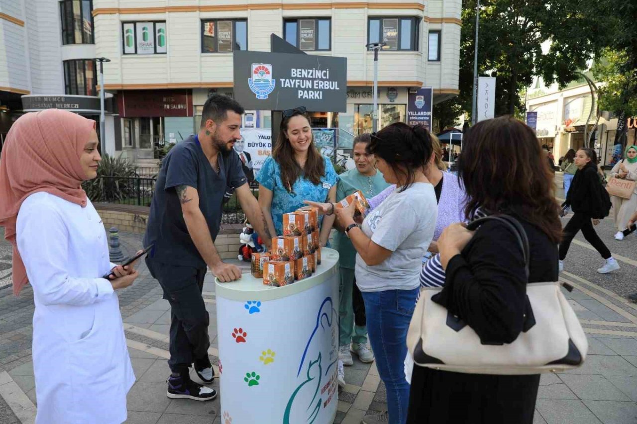 Yalova Belediyesi sokak hayvanları için mama dağıttı