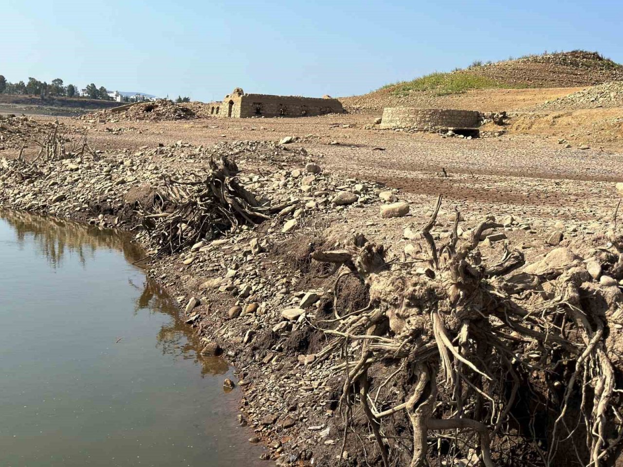 Bodrum’da kırmızı alarm: Baraj kurudu, su bitti