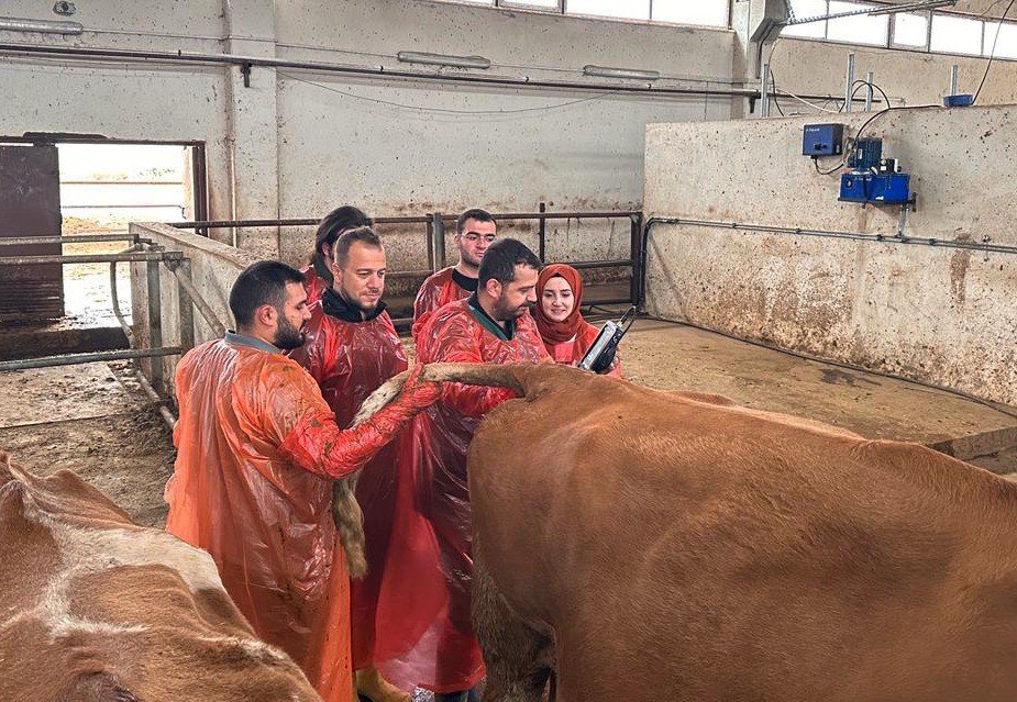 Van Büyükşehir Belediyesi veteriner hekimleri mezbahanelerde ultrasonla kontrol yapacak