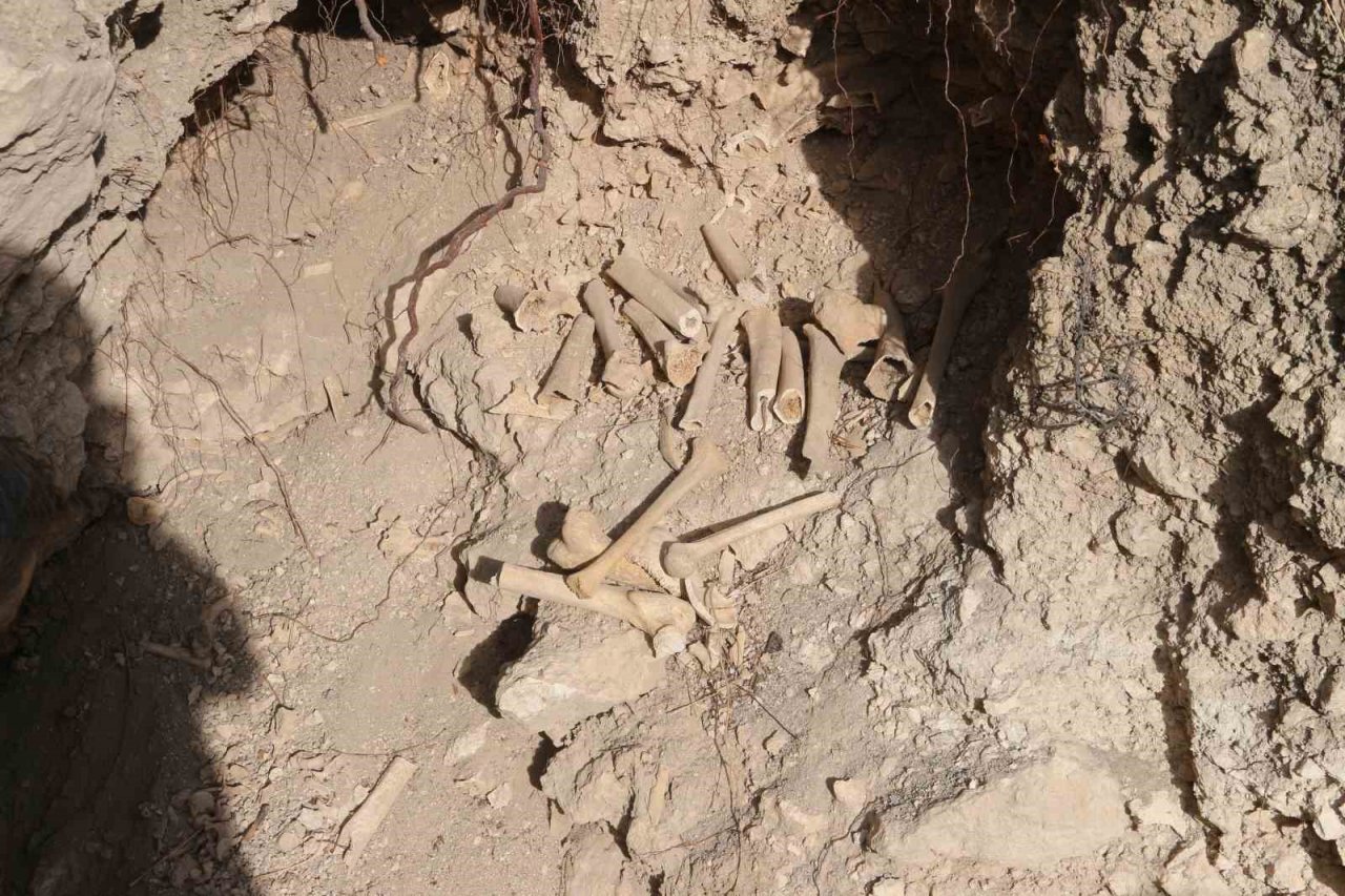Mersin’de definecilerin tahrip ettiği tarihi yerlerde insan kemikleri çıktı