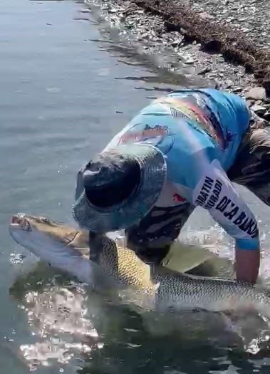 Yakaladığı 40 kiloluk dev Fırat turnasını popülasyonu korumak için tekrar suya bıraktı
