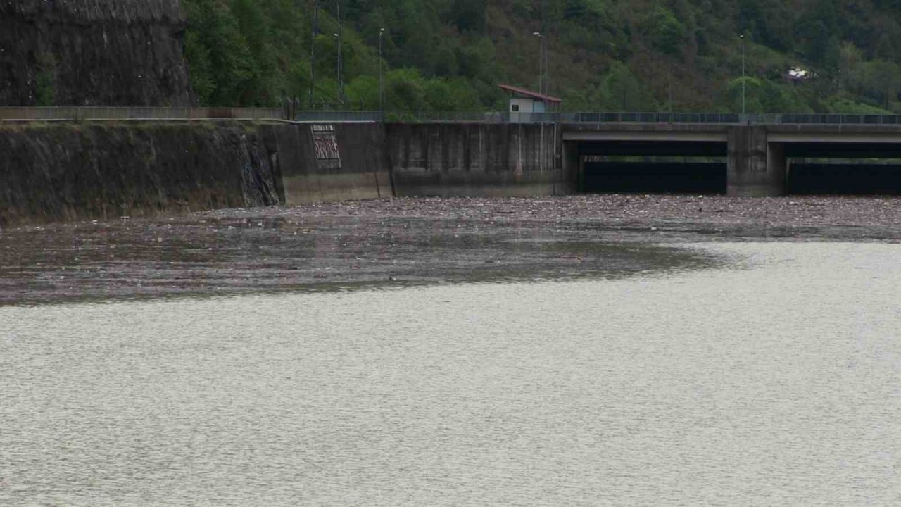 Artvin’de sel suları Muratlı Baraj gölünü çöplüğe döndürdü