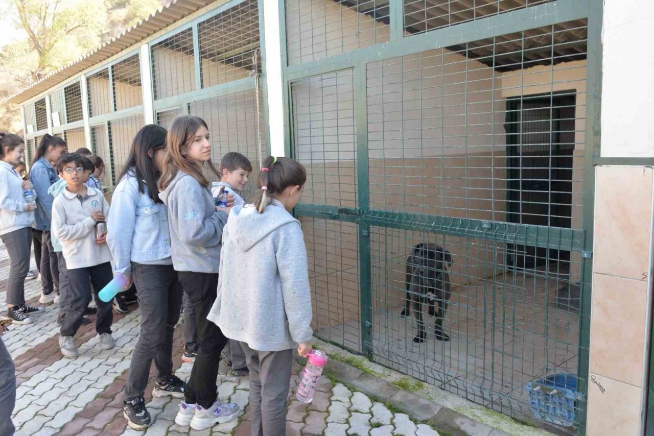 Öğrencilerden hayvan barınağına ziyaret