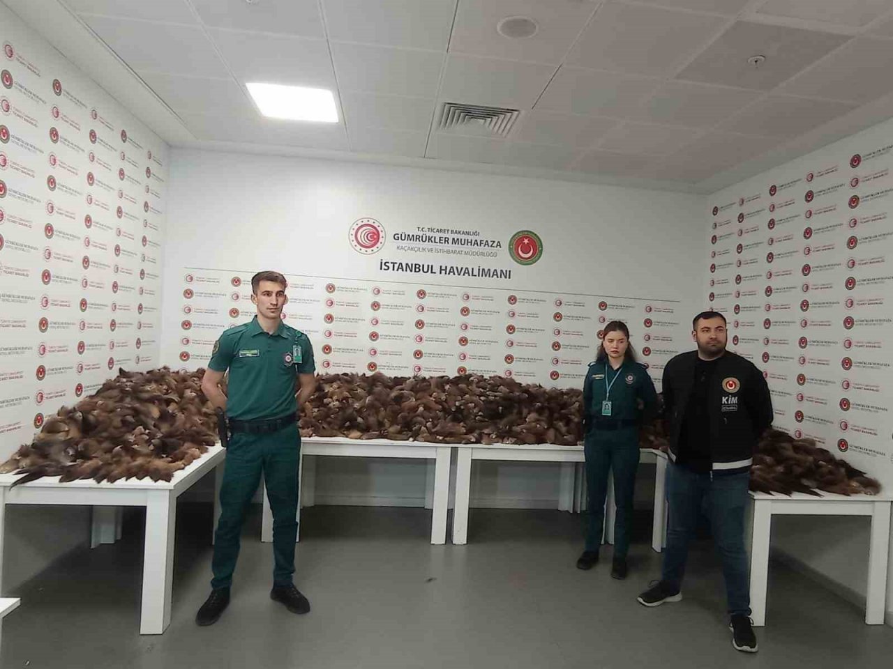 İstanbul Havalimanı’nda 1 milyon 236 bin TL değerinde tilki kuyruğu yakalandı