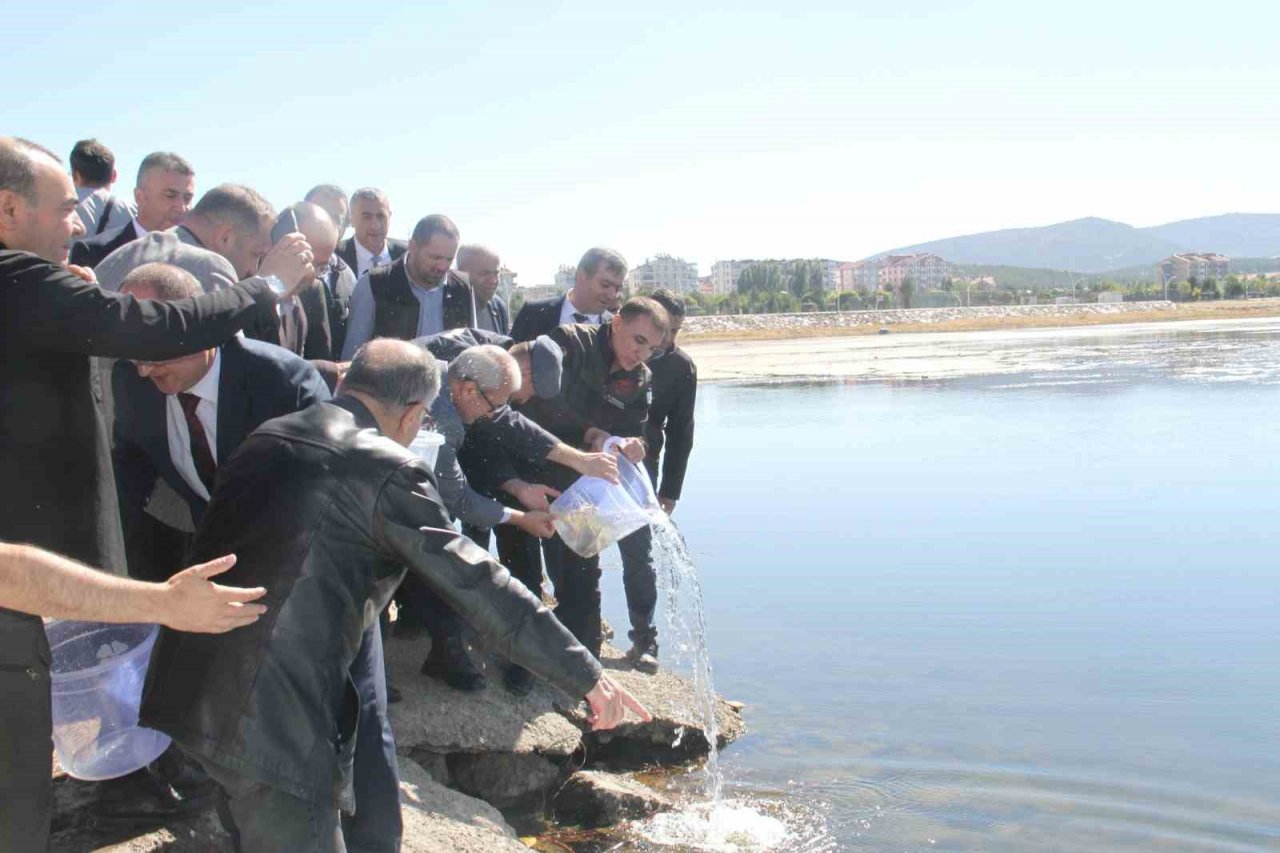 Konya’nın göl ve göletlerine yavru sazan balığı salındı